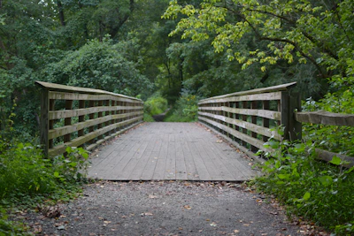 a wooden bridge over a small stream in a forest
