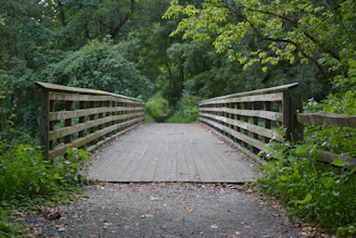 a wooden bridge over a small stream in a forest