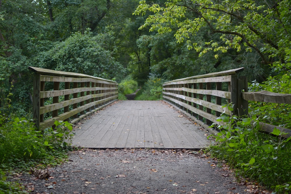 un pont en bois au-dessus d’un petit ruisseau dans une forêt