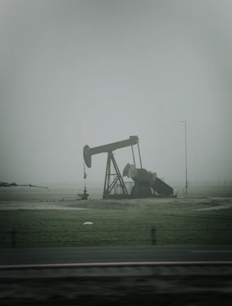 Oil and gas industry rigs suitable for security seals and dart sealing applications
