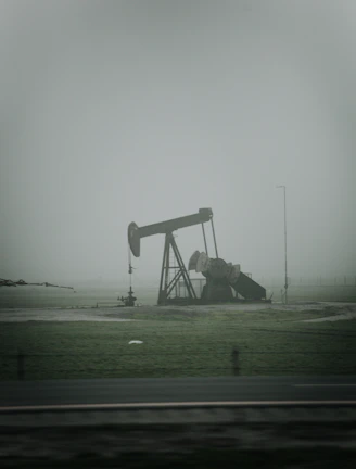 Oil and gas industry rigs suitable for security seals and dart sealing applications
