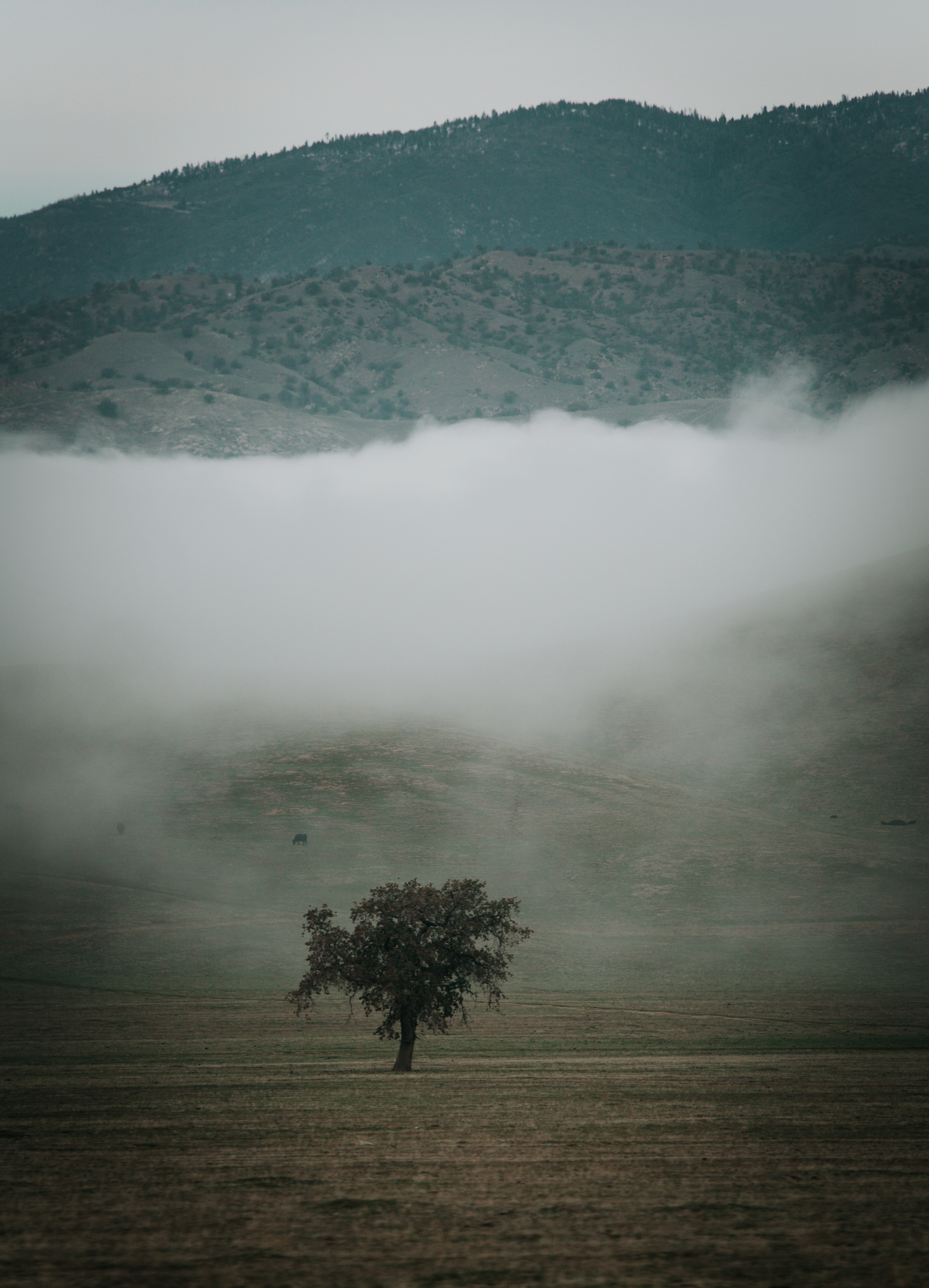 Photo by jeffersonsees