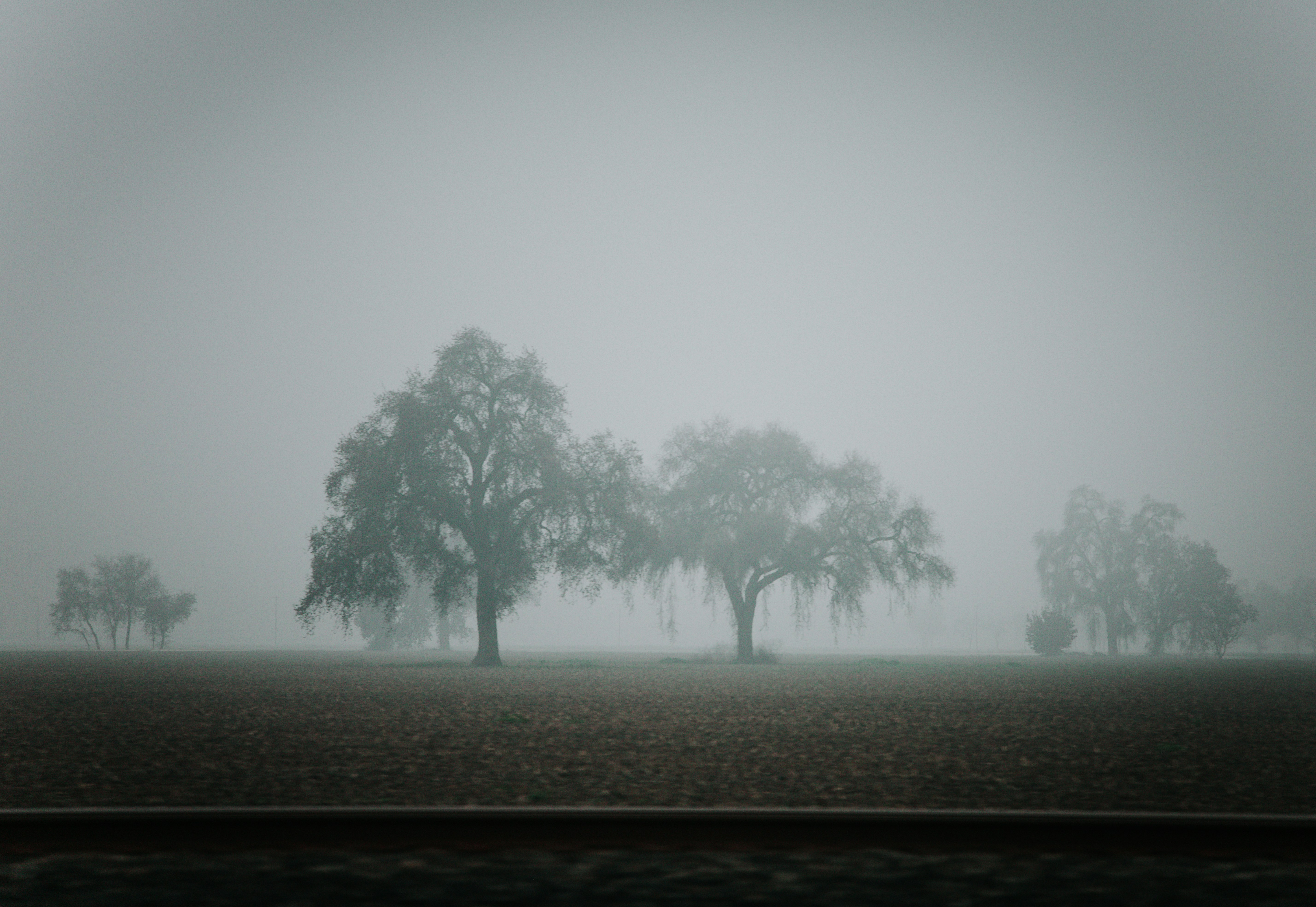 Photo by jeffersonsees