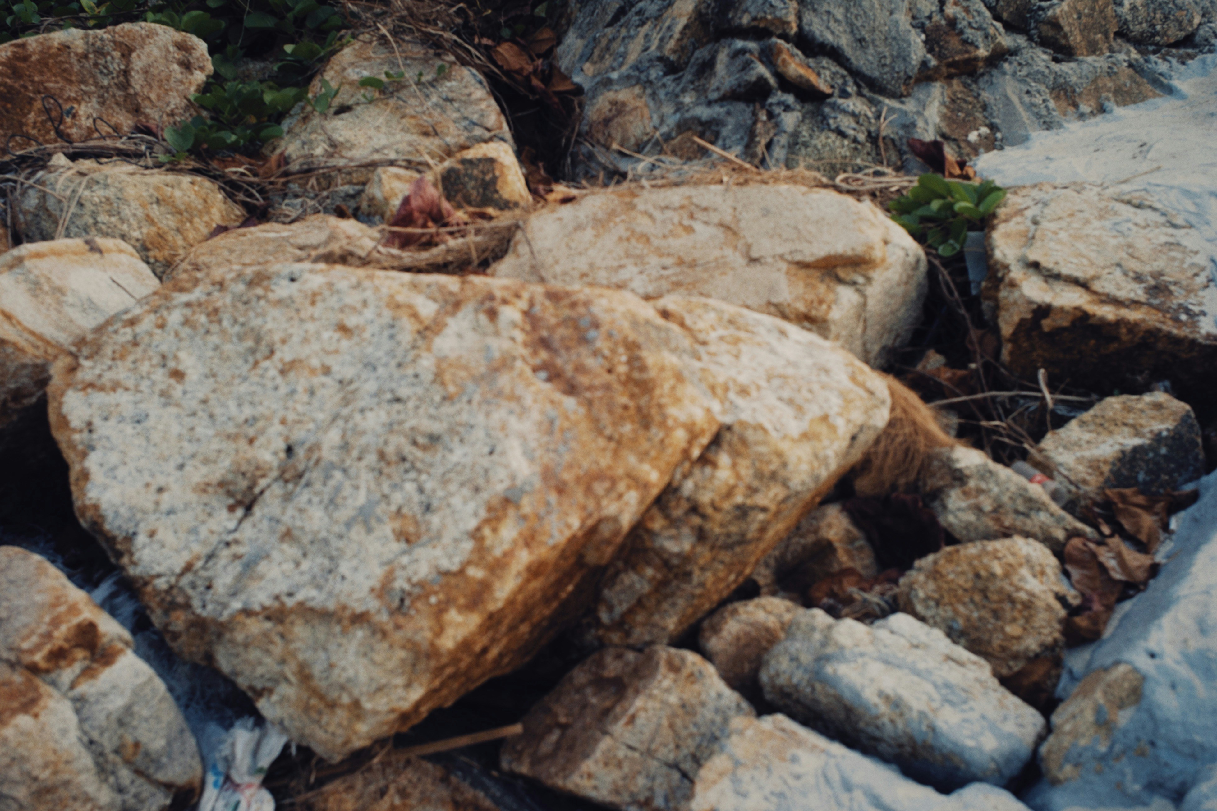 Photo by alexeydemidov