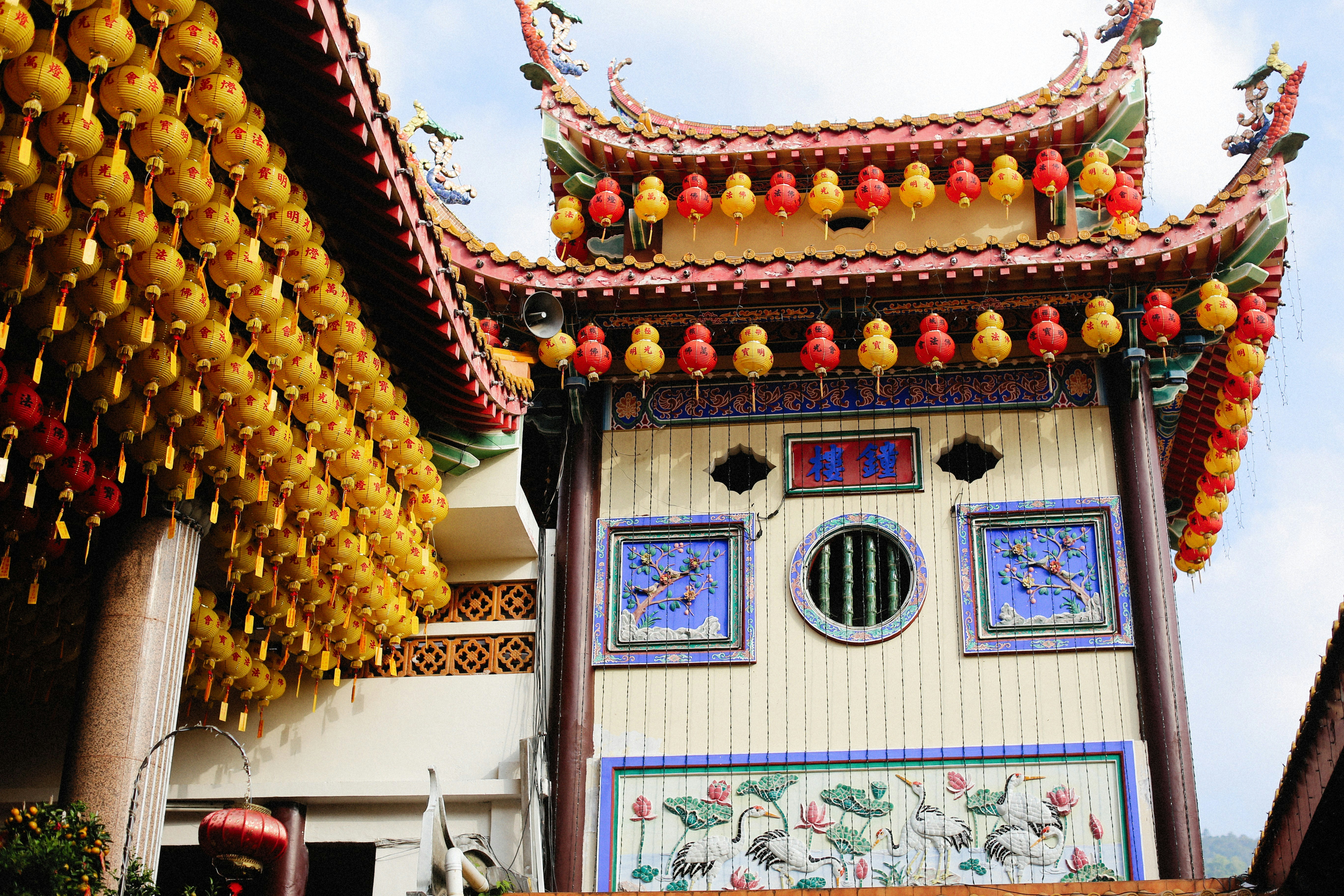 Photo by alexeydemidov