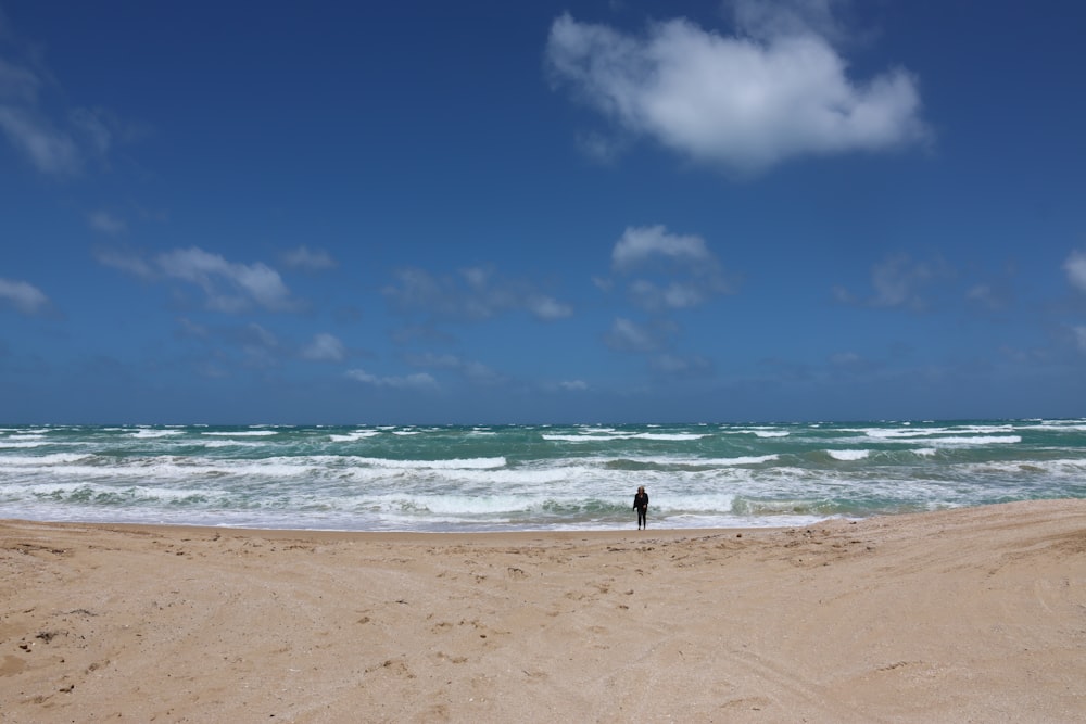 a person standing on a beach next to the ocean