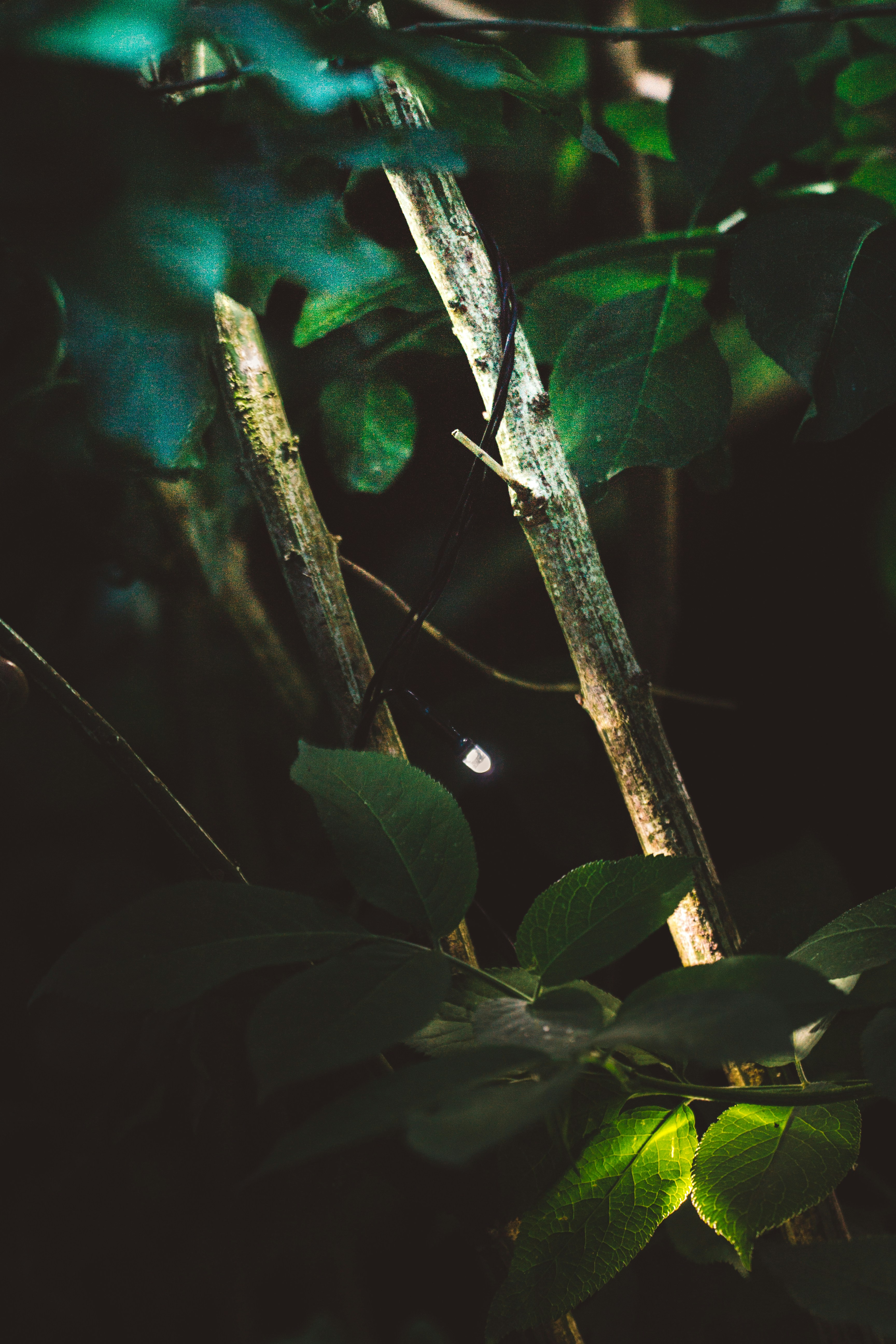 Photo by davidvondiemar