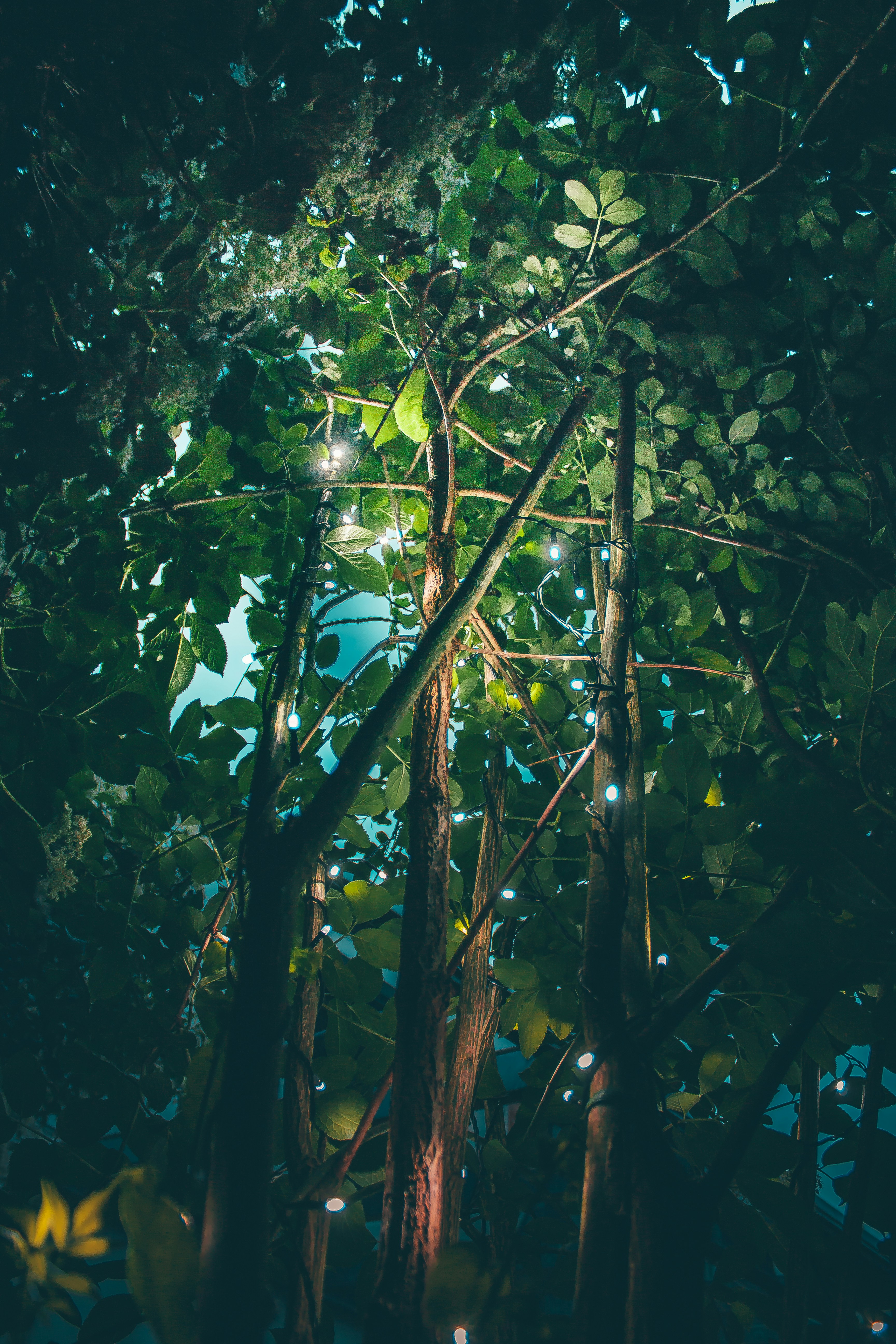 Photo by davidvondiemar