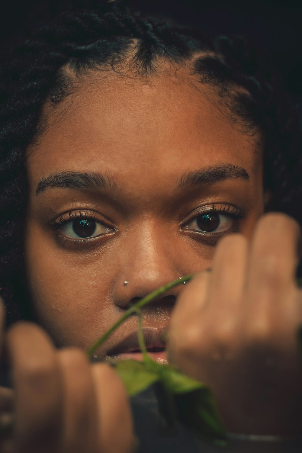 a close up of a person holding a plant