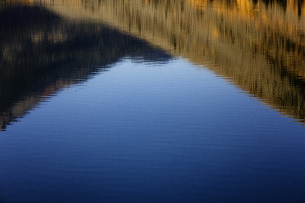 a body of water with trees in the background