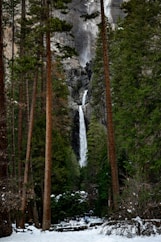 a waterfall in the middle of a forest