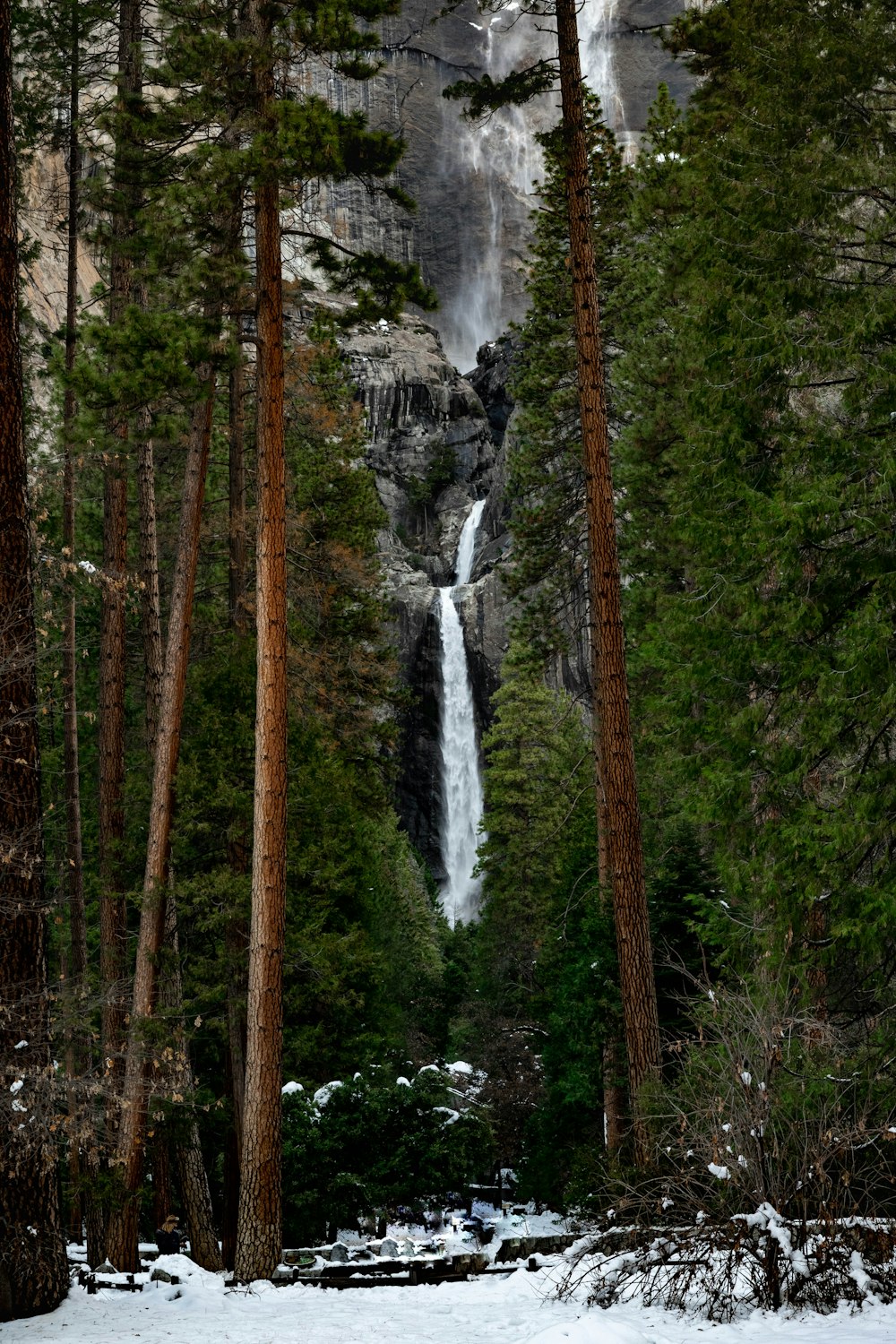 森の真ん中にある滝