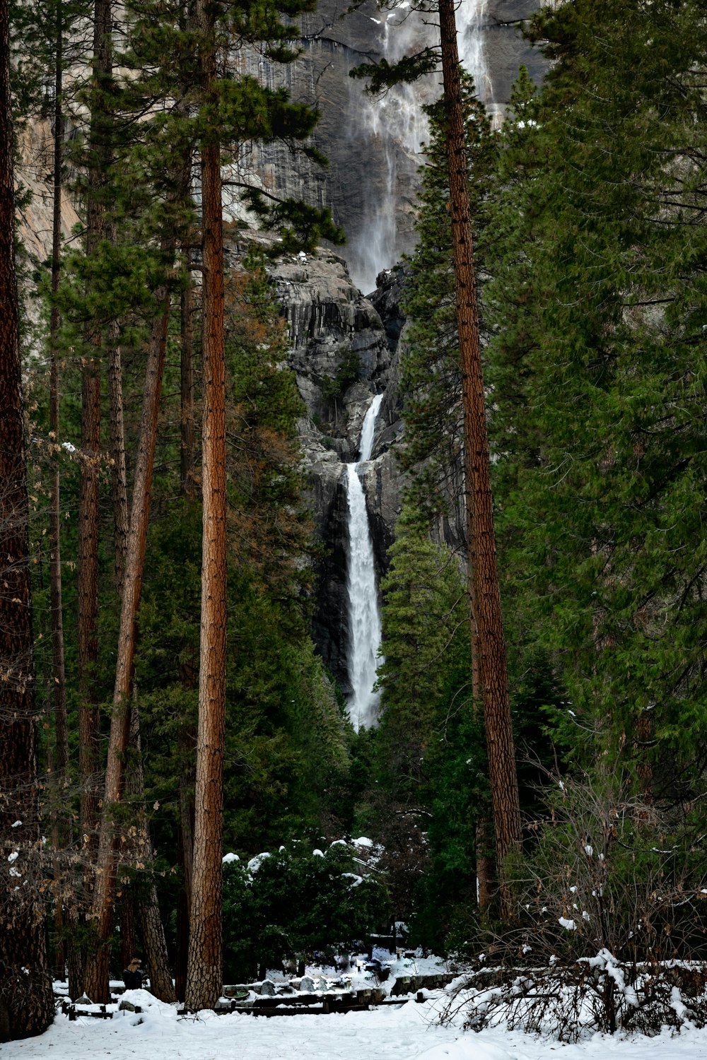 a waterfall in the middle of a forest