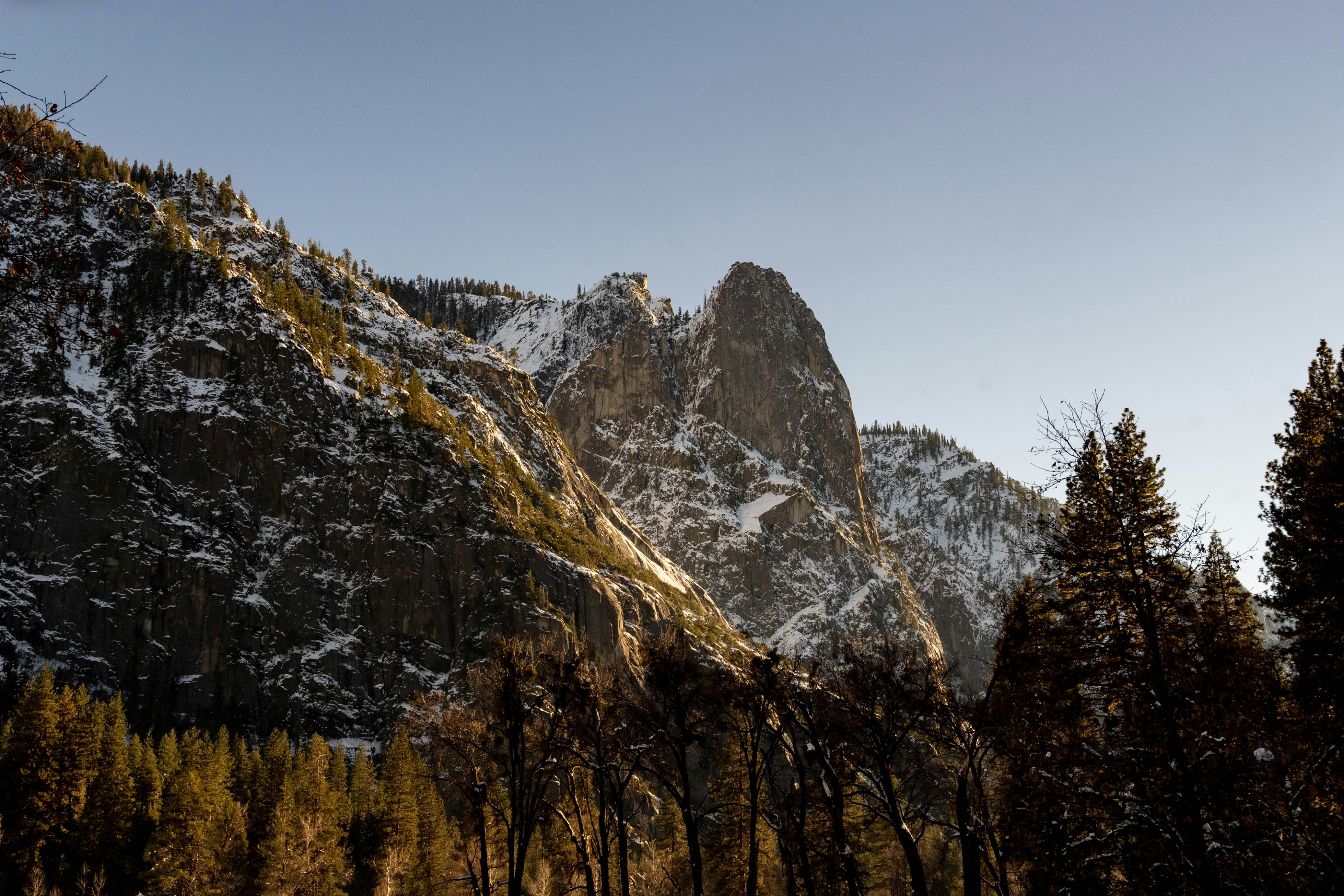 Photo by goldencoastgrams