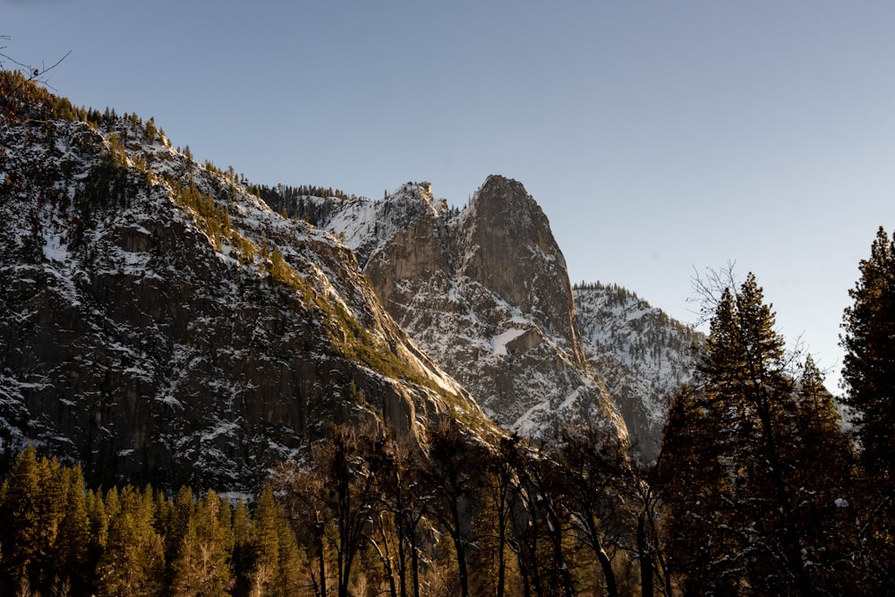 a snow covered mountain with trees in the foreground