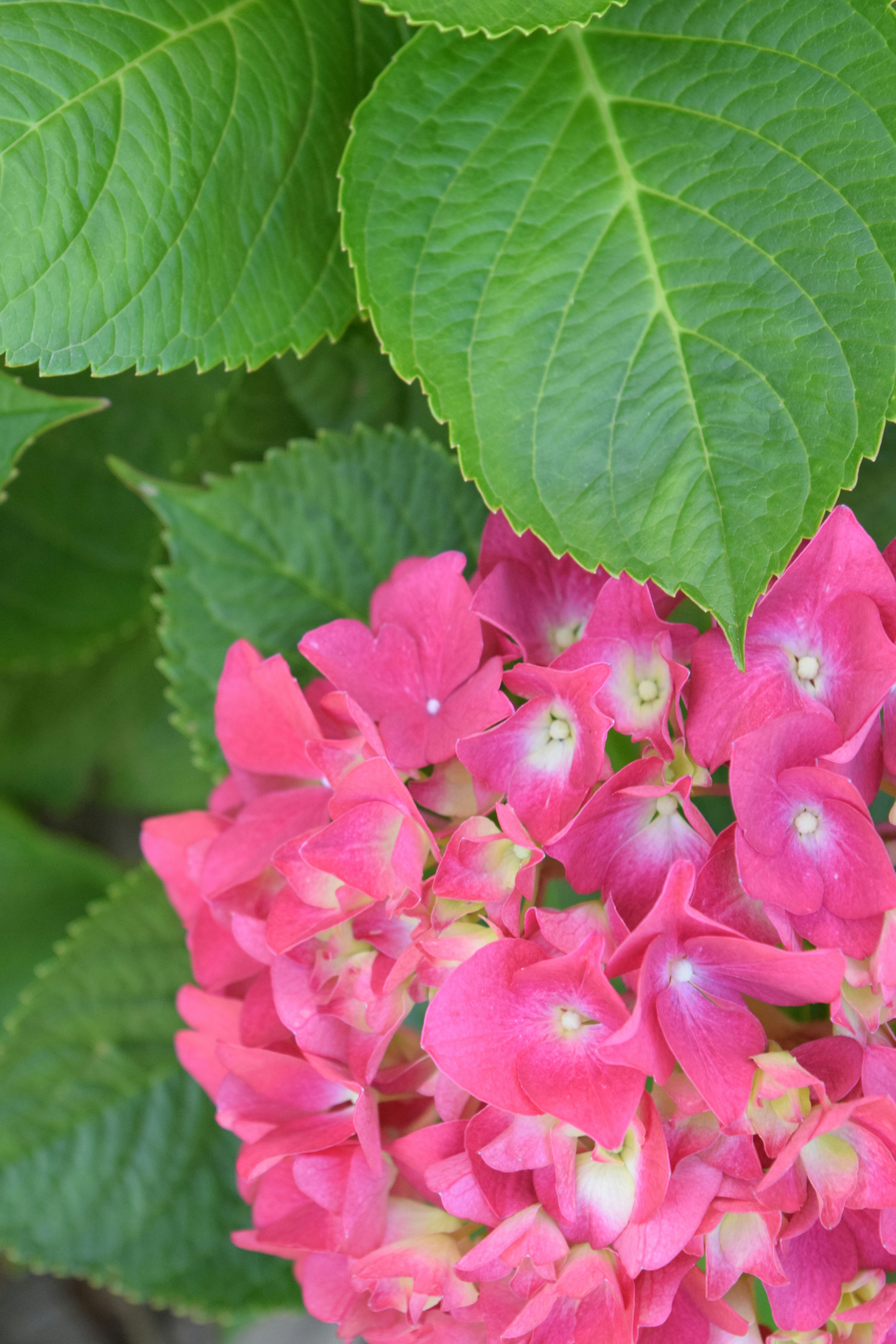 Photo by ch_photography