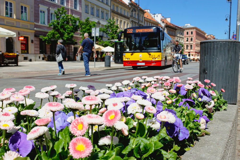 a city bus driving down a street next to a bunch of flowers