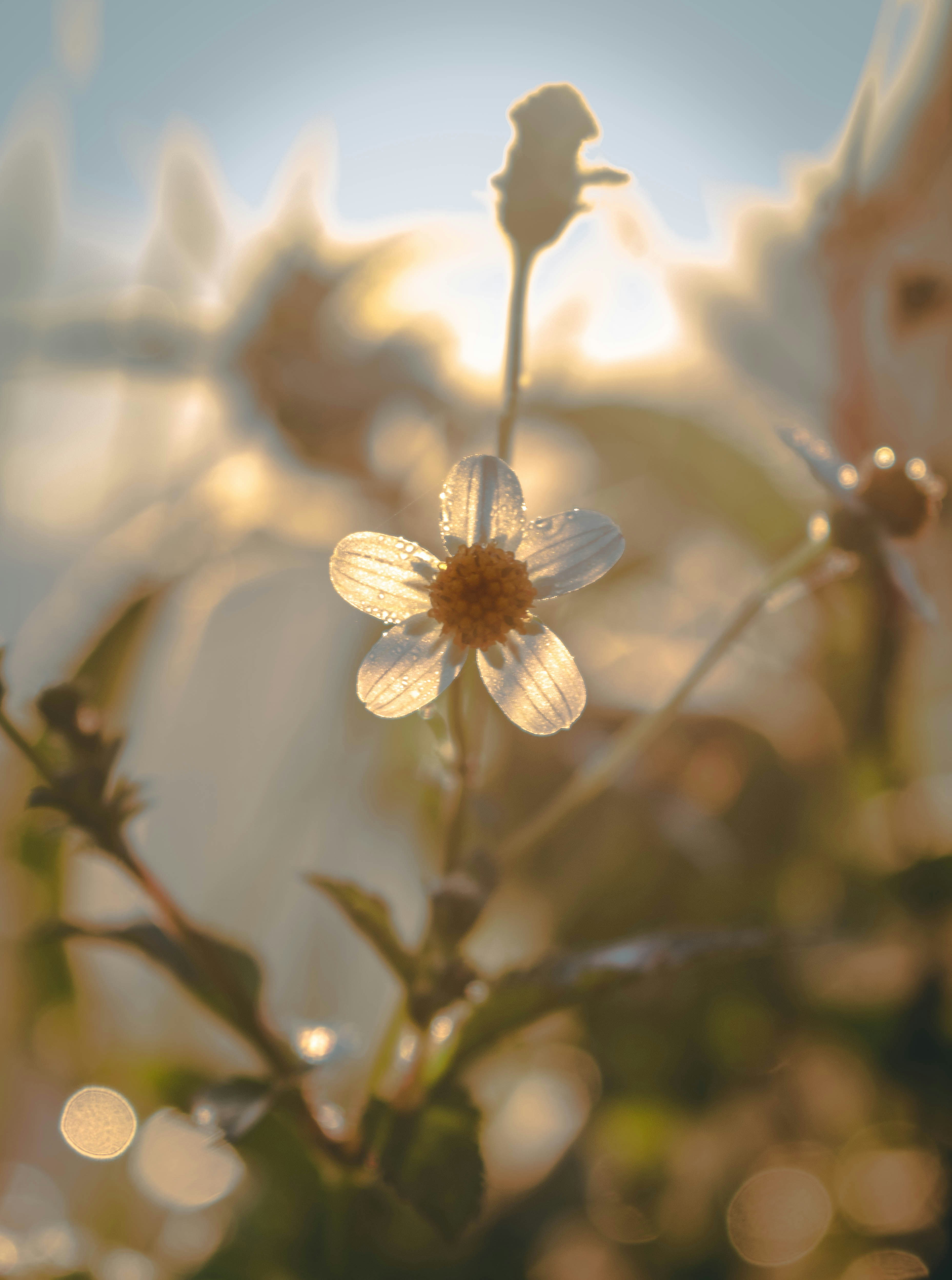 Photo by abhi05