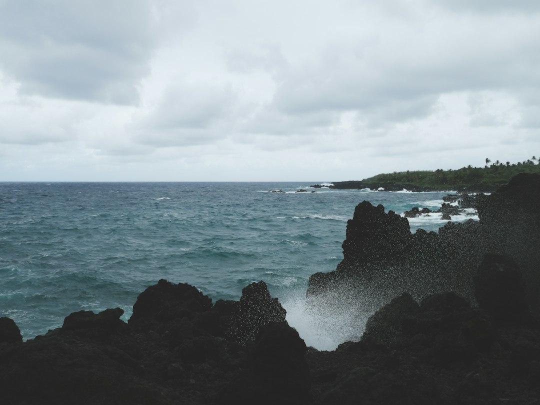 a rocky shore with a body of water in the distance,