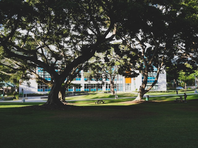 Hawaii Pacific University