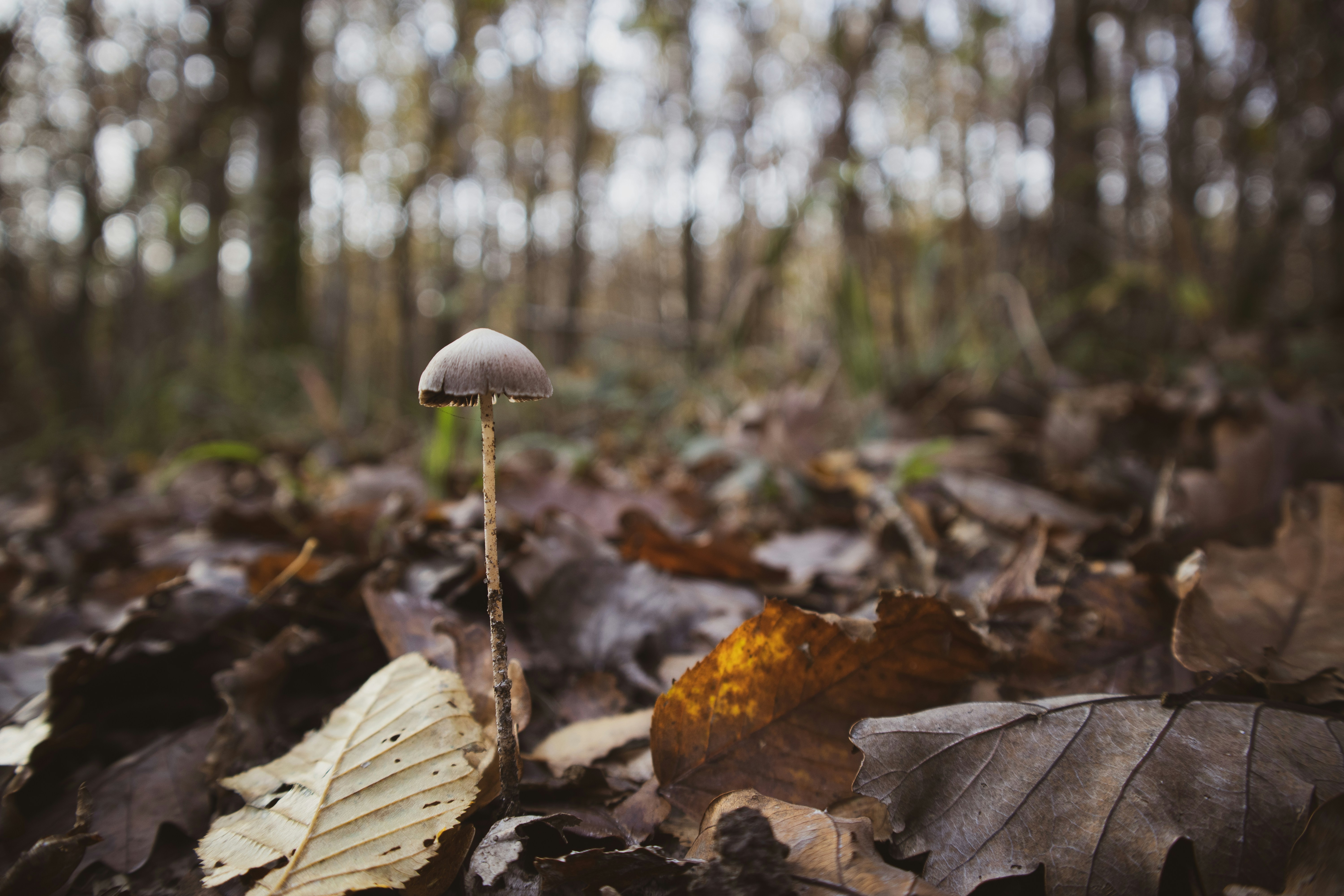 Photo by amandine_bataille_photo