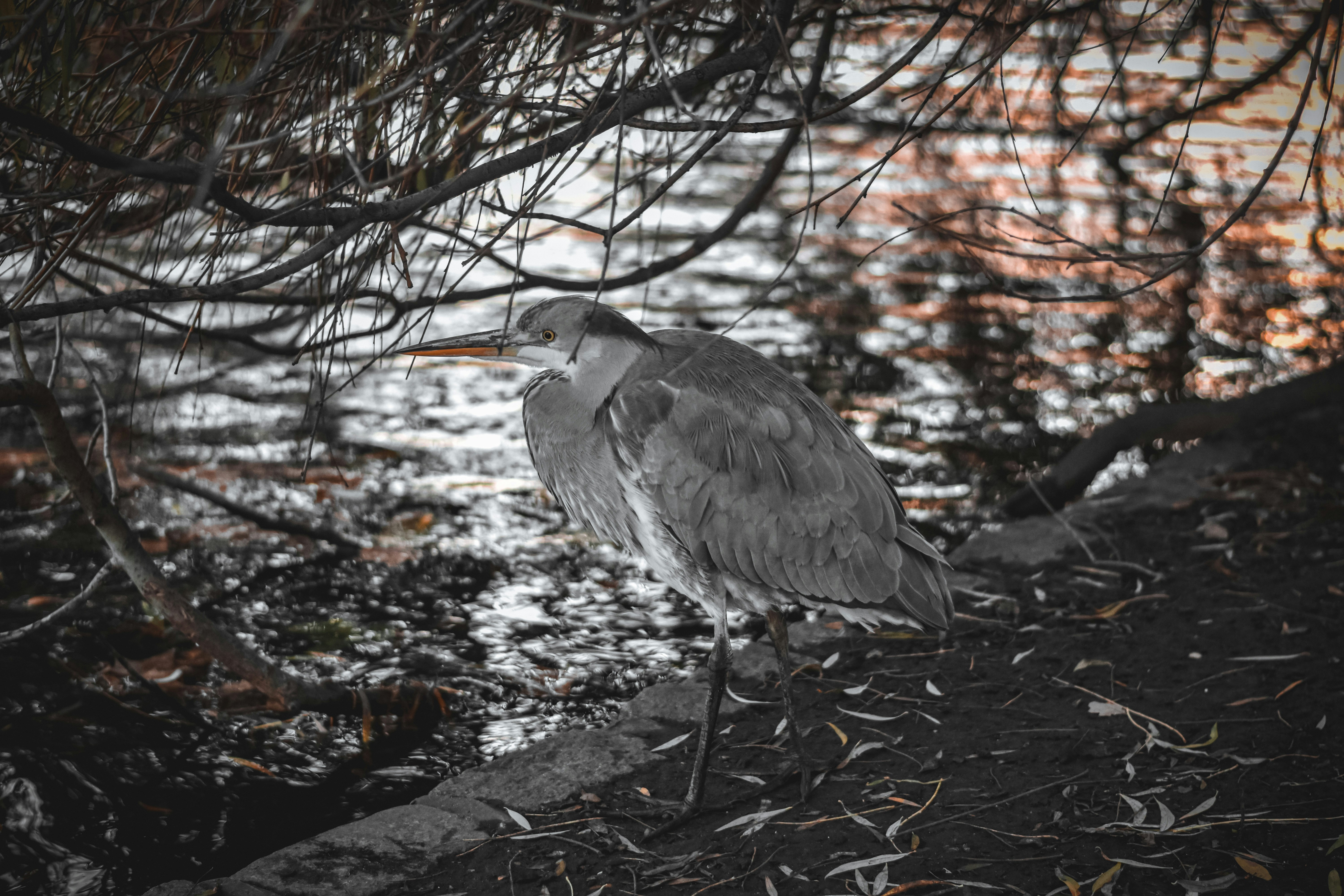 Photo by elliottmason