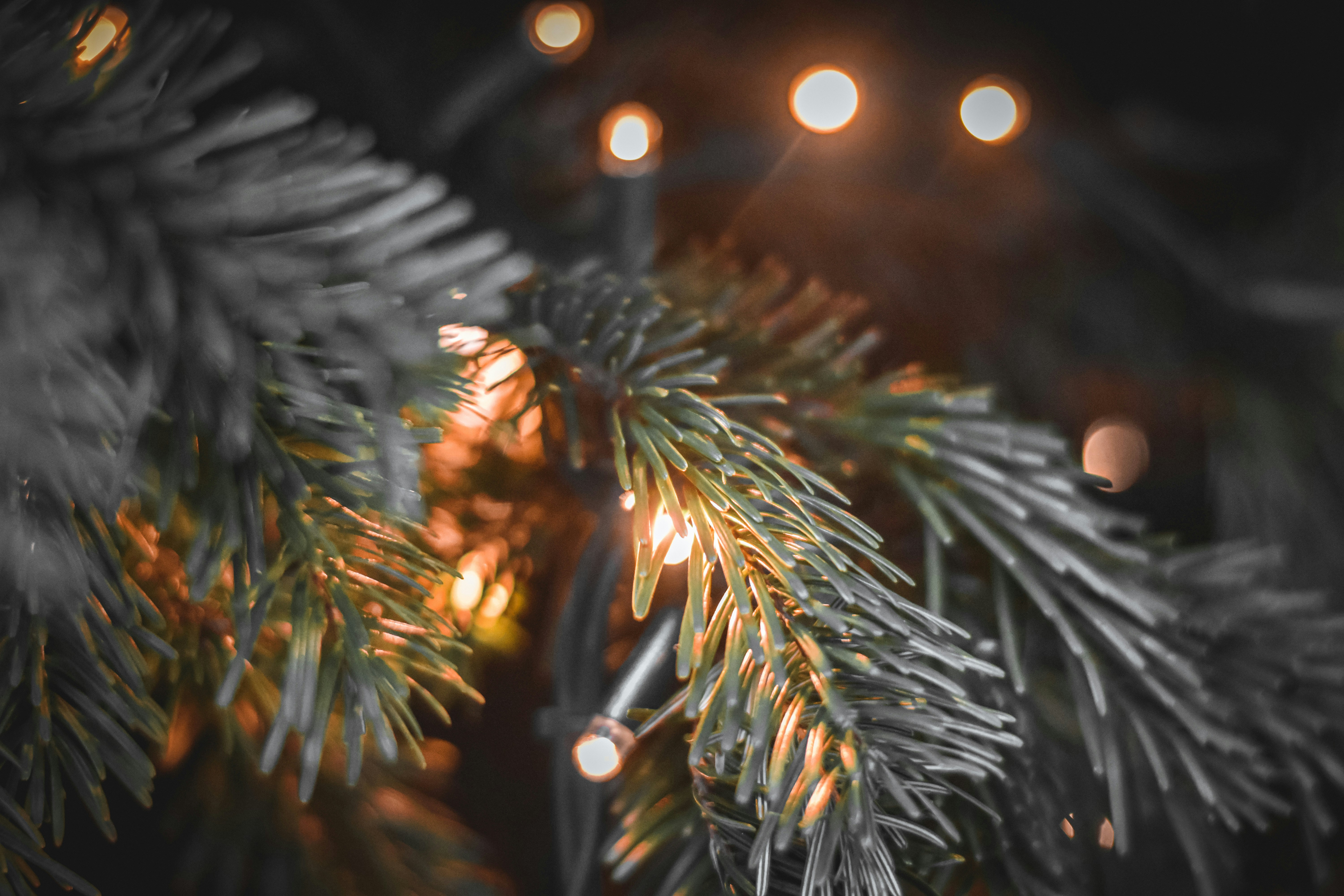 Photo by elliottmason