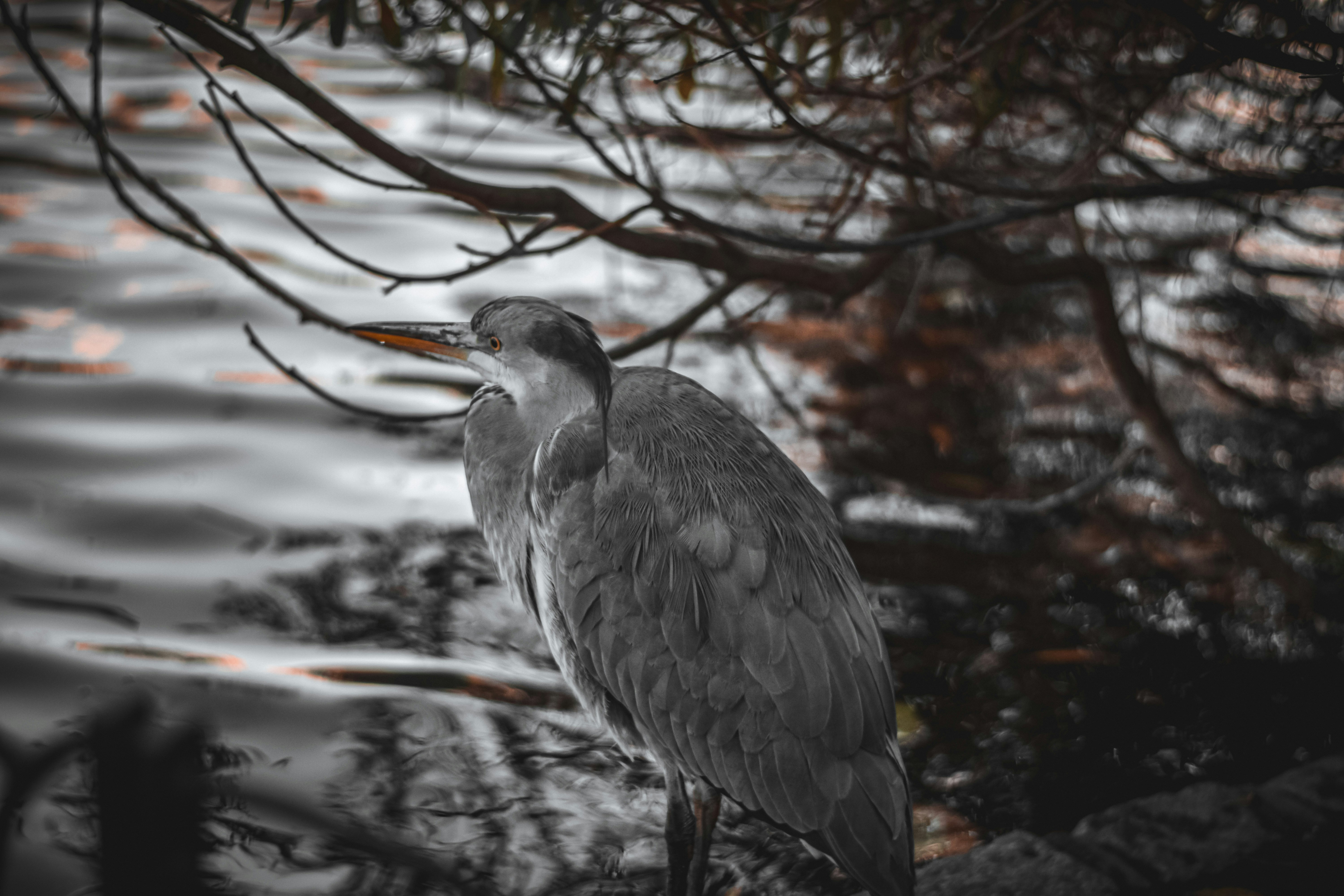 Photo by elliottmason