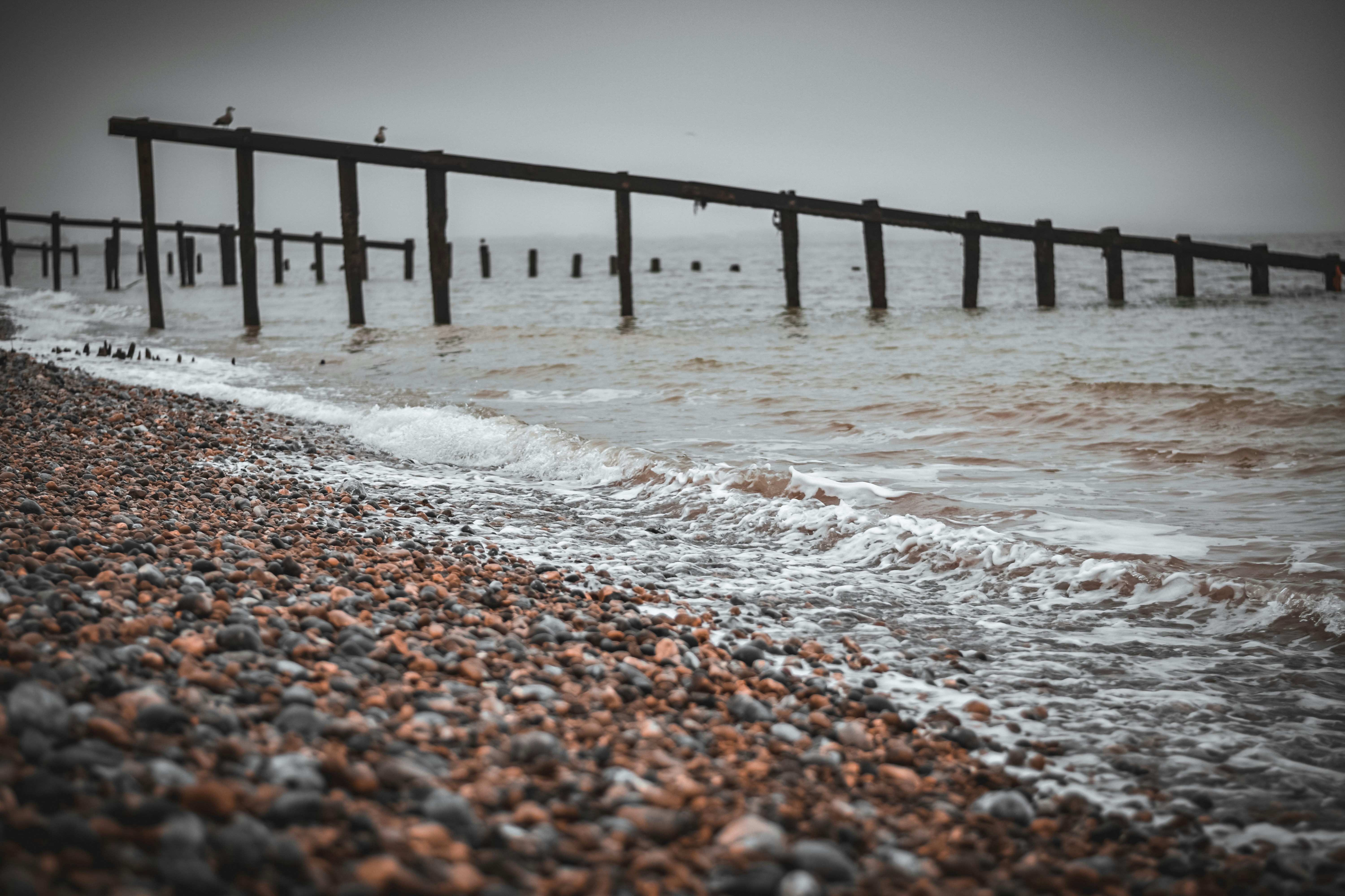 Photo by elliottmason