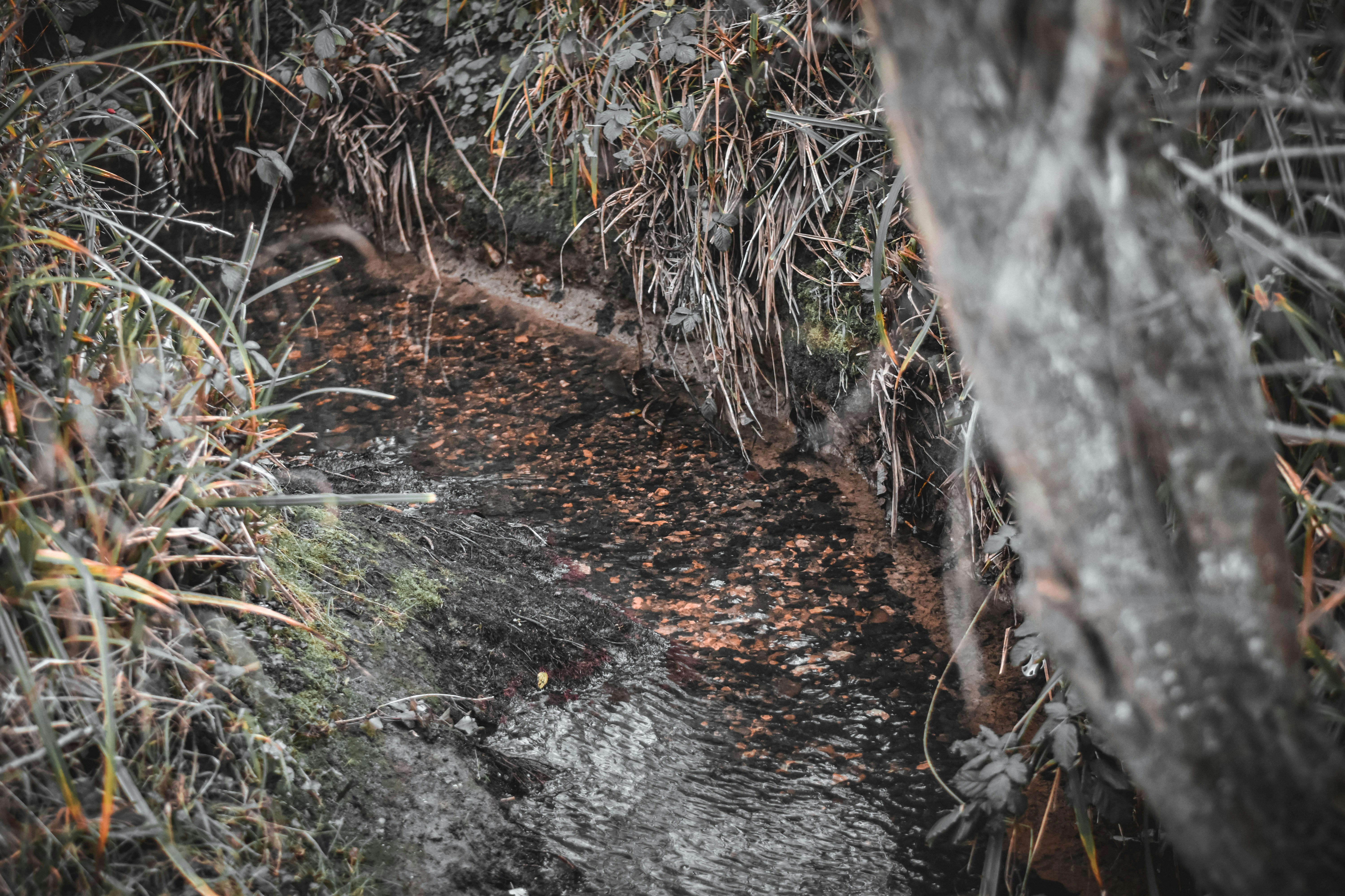 Photo by elliottmason