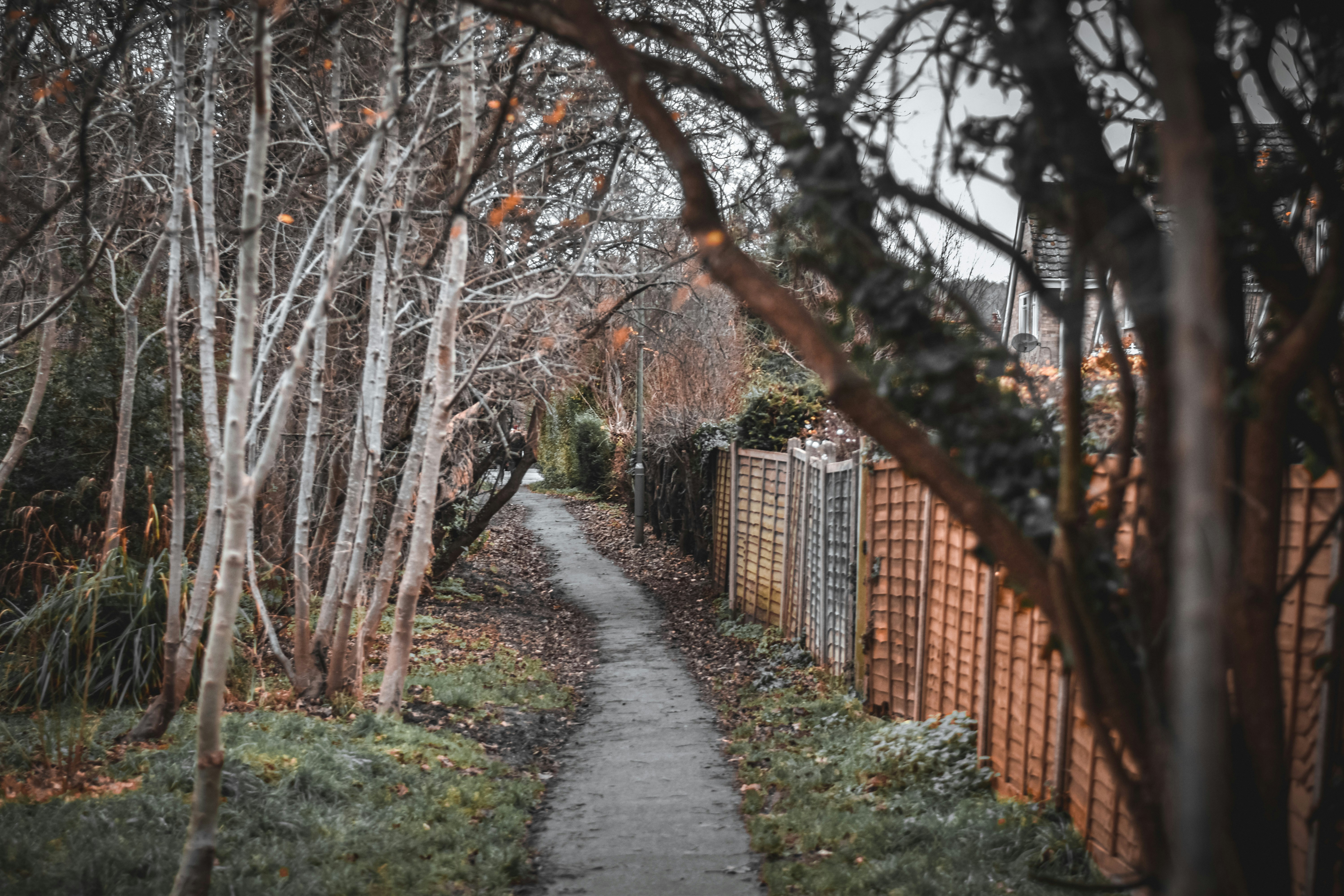 Photo by elliottmason