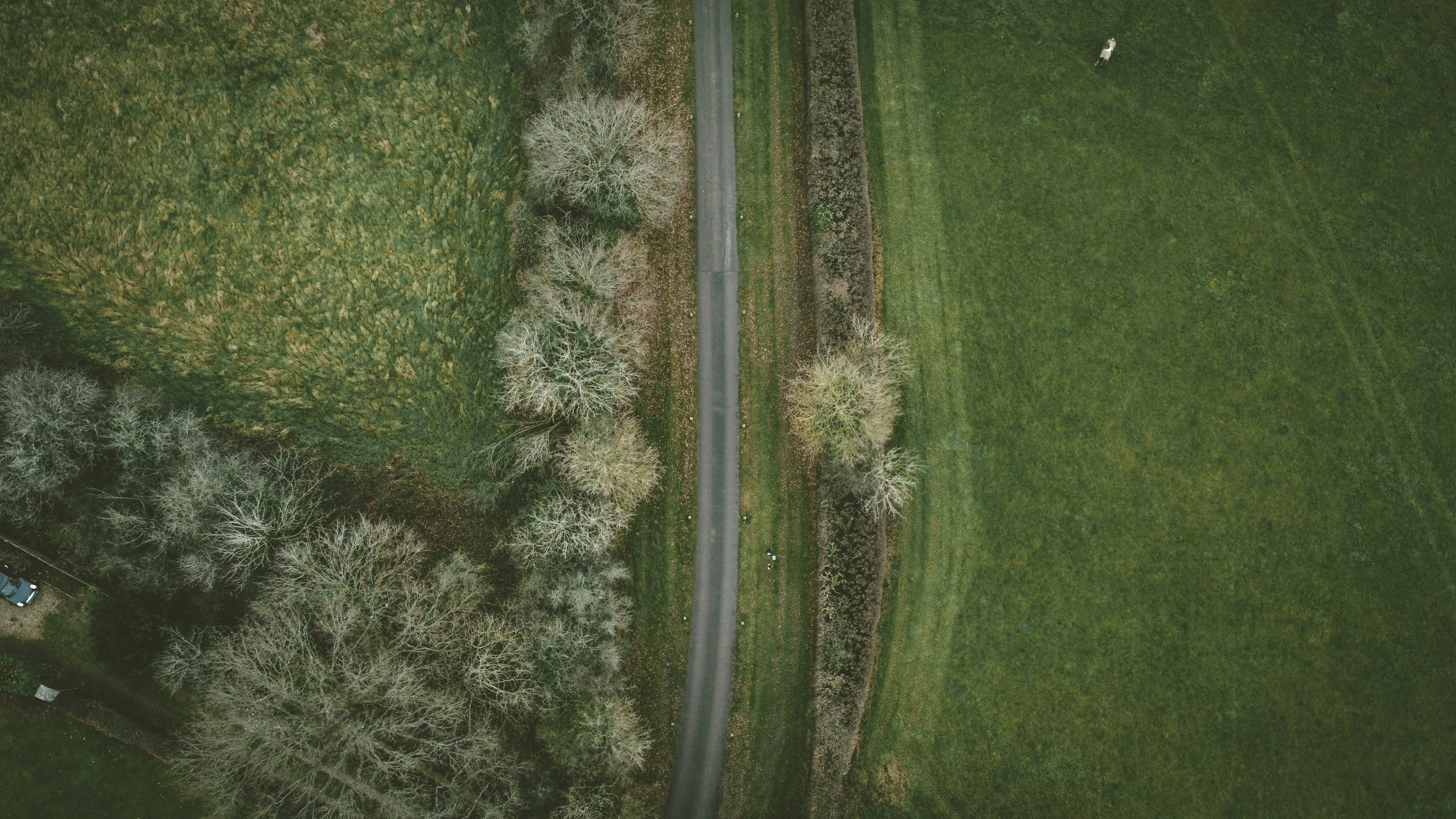 Photo by elliottmason