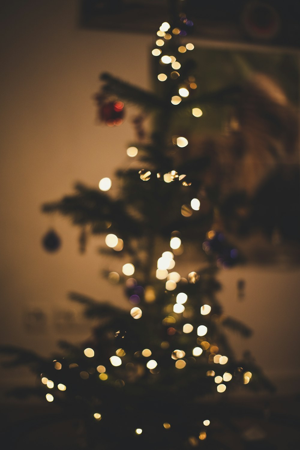 Un piccolo albero di Natale è illuminato al buio