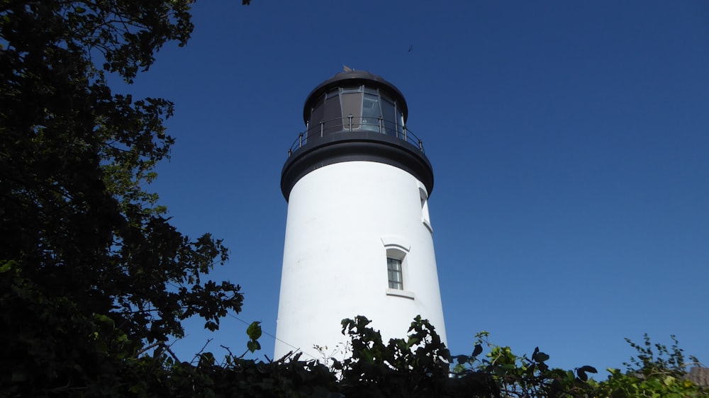 a white and black light house surrounded by trees