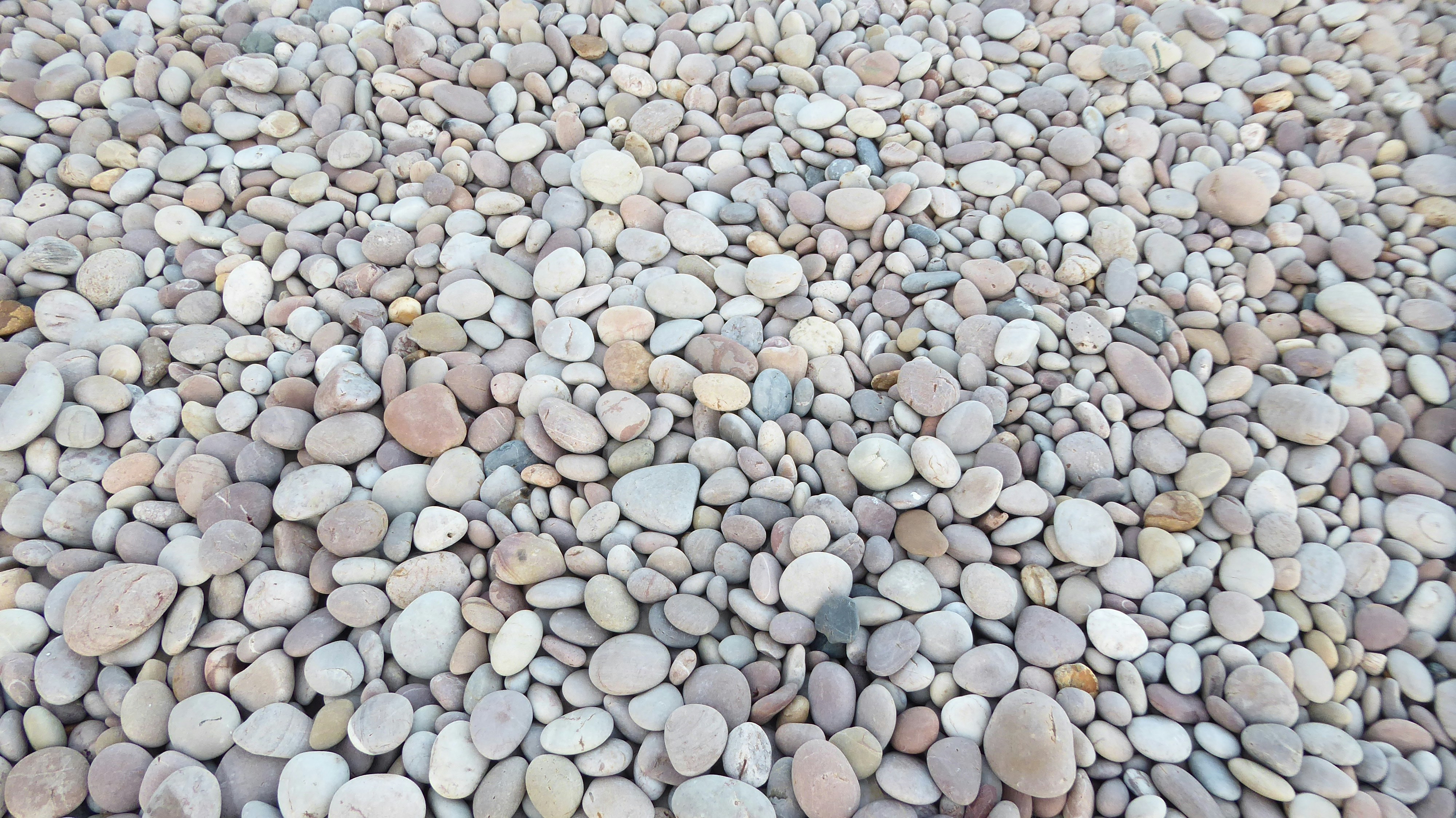 Photo by hypn0fiddl3r