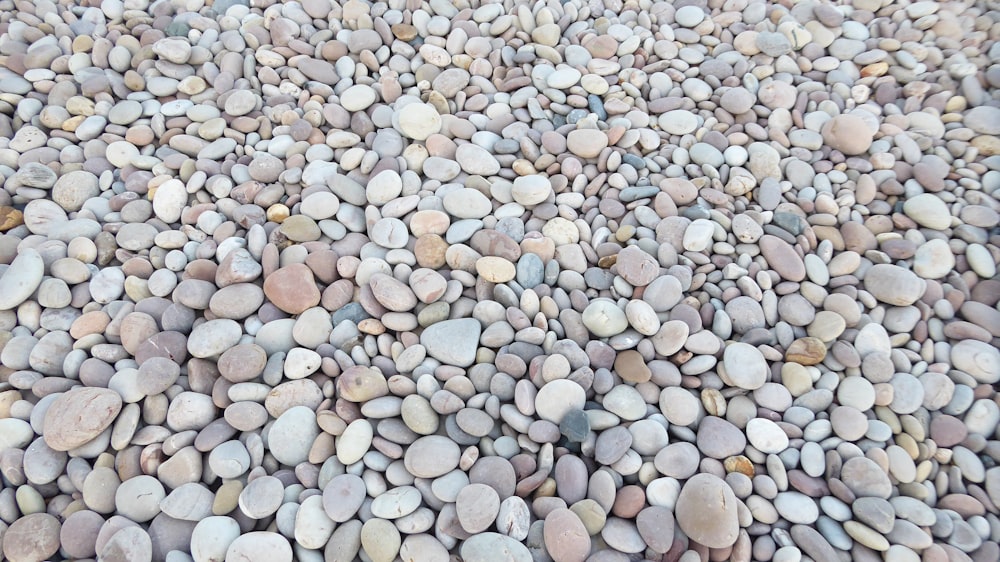 a bunch of rocks that are laying on the ground