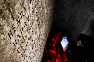 Carved names are visible on a stone memorial, with red poppy wreaths placed at its base, suggesting a tribute or remembrance setting.