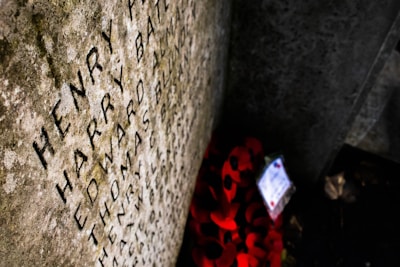 Carved names are visible on a stone memorial, with red poppy wreaths placed at its base, suggesting a tribute or remembrance setting.