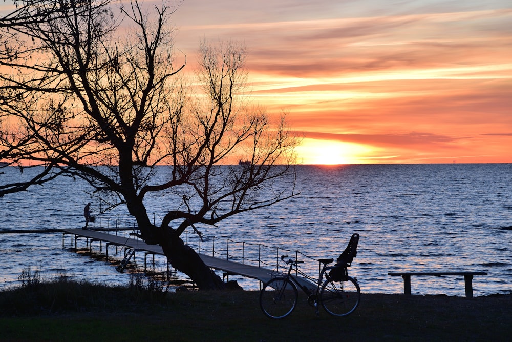 a bike parked next to a tree near a body of water