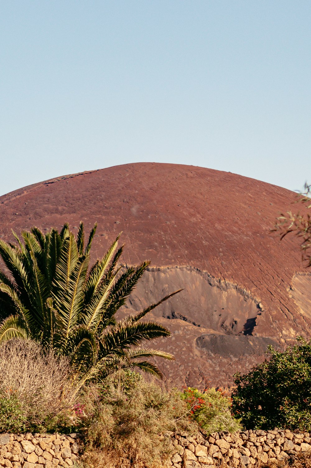 a large hill with a tree in the foreground