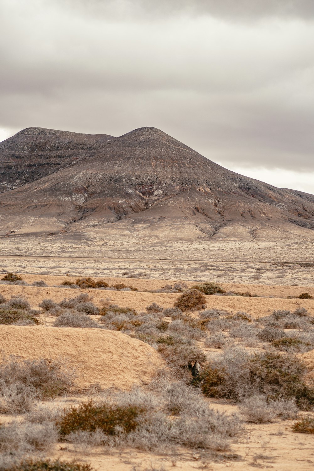 a lone horse standing in the desert with a mountain in the background