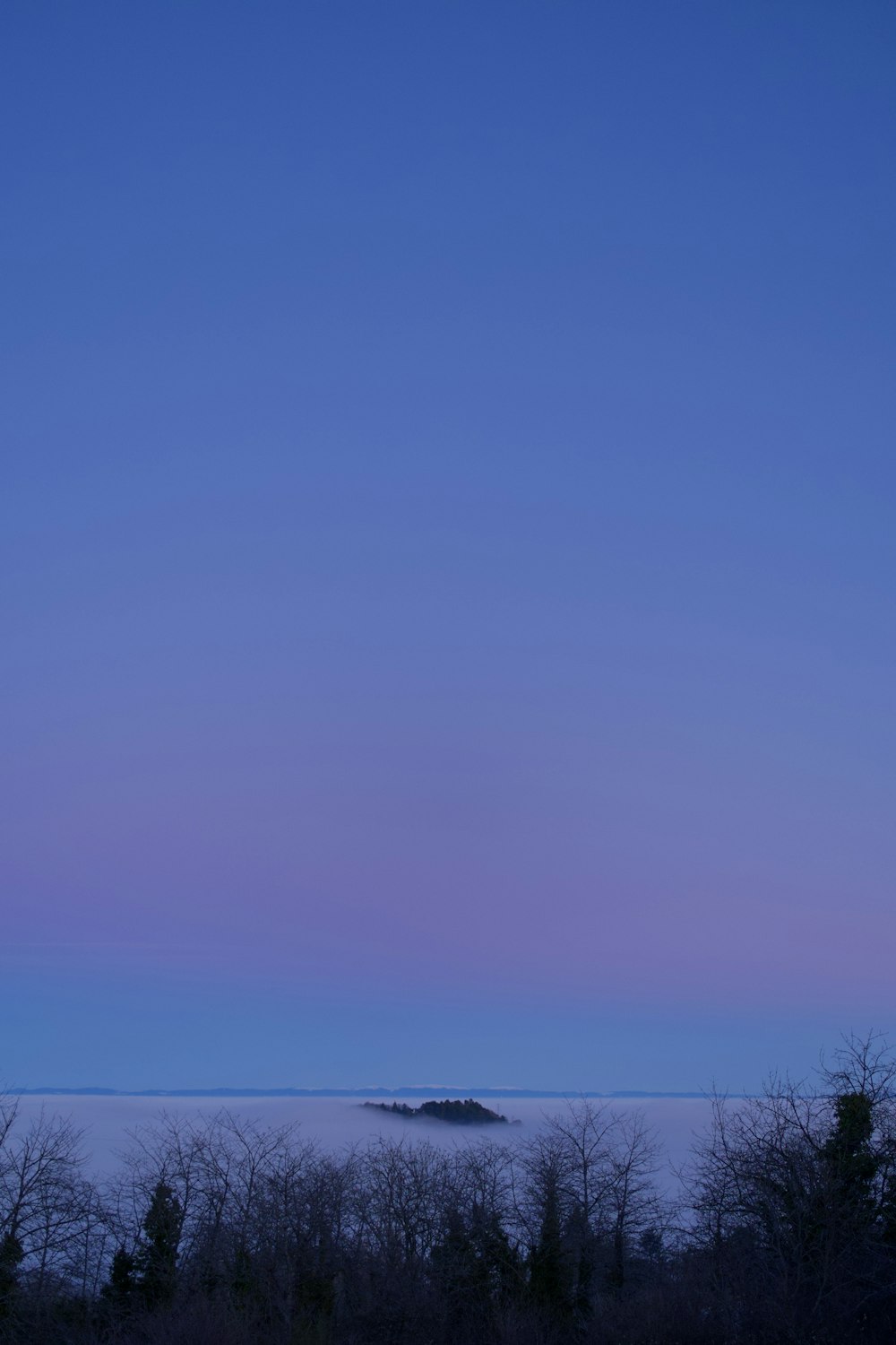 un paysage brumeux avec des arbres et une colline au loin