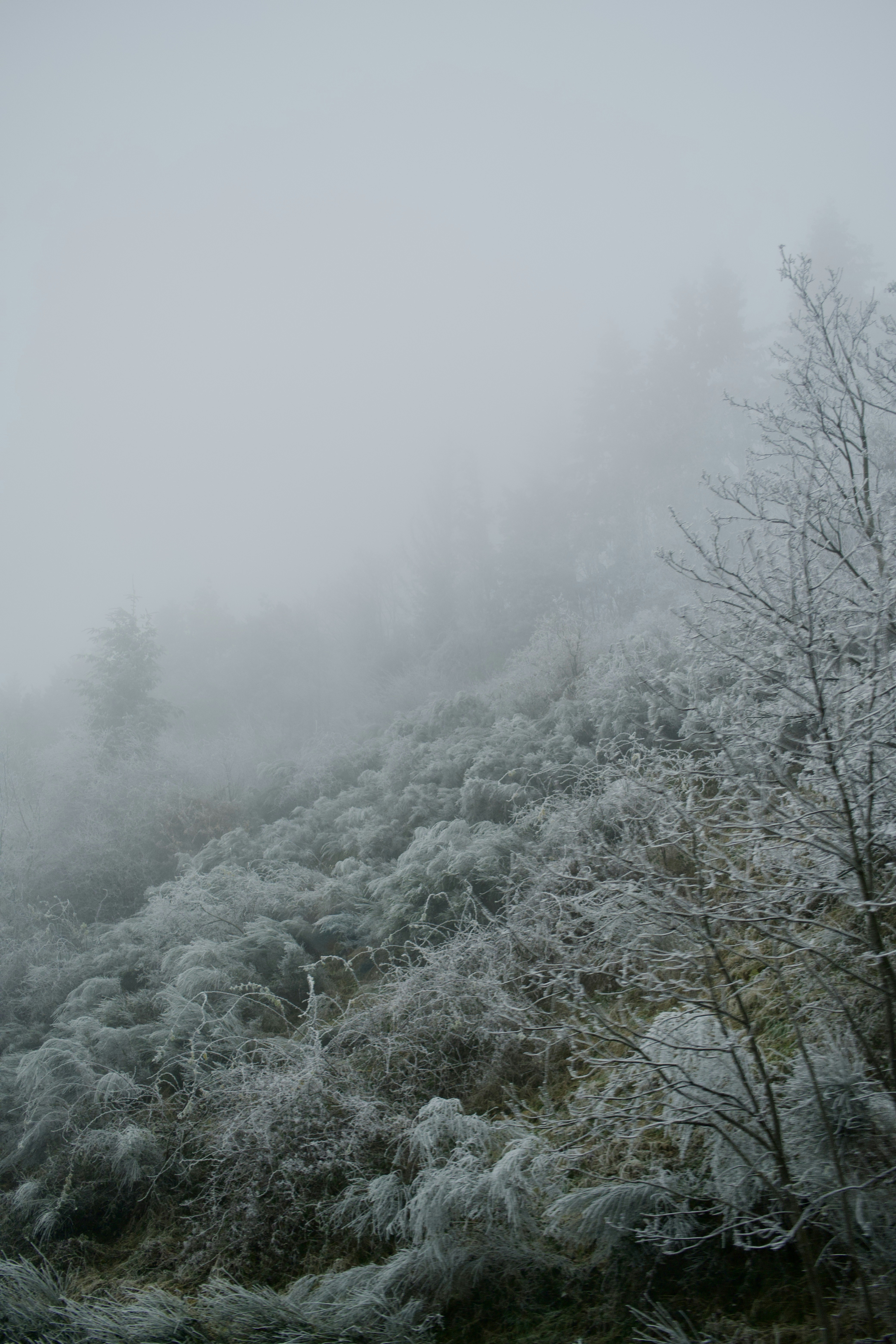 Photo by hugodouchet