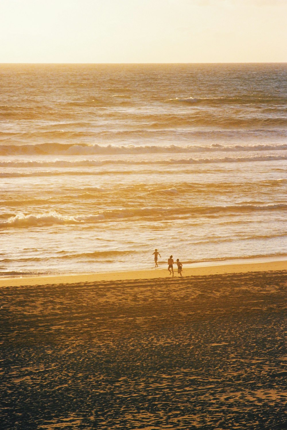 a couple of people walking along a beach next to the ocean