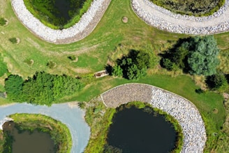 Drone Mapping a Public Park
