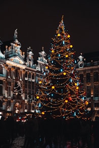 a lit christmas tree in front of a building
