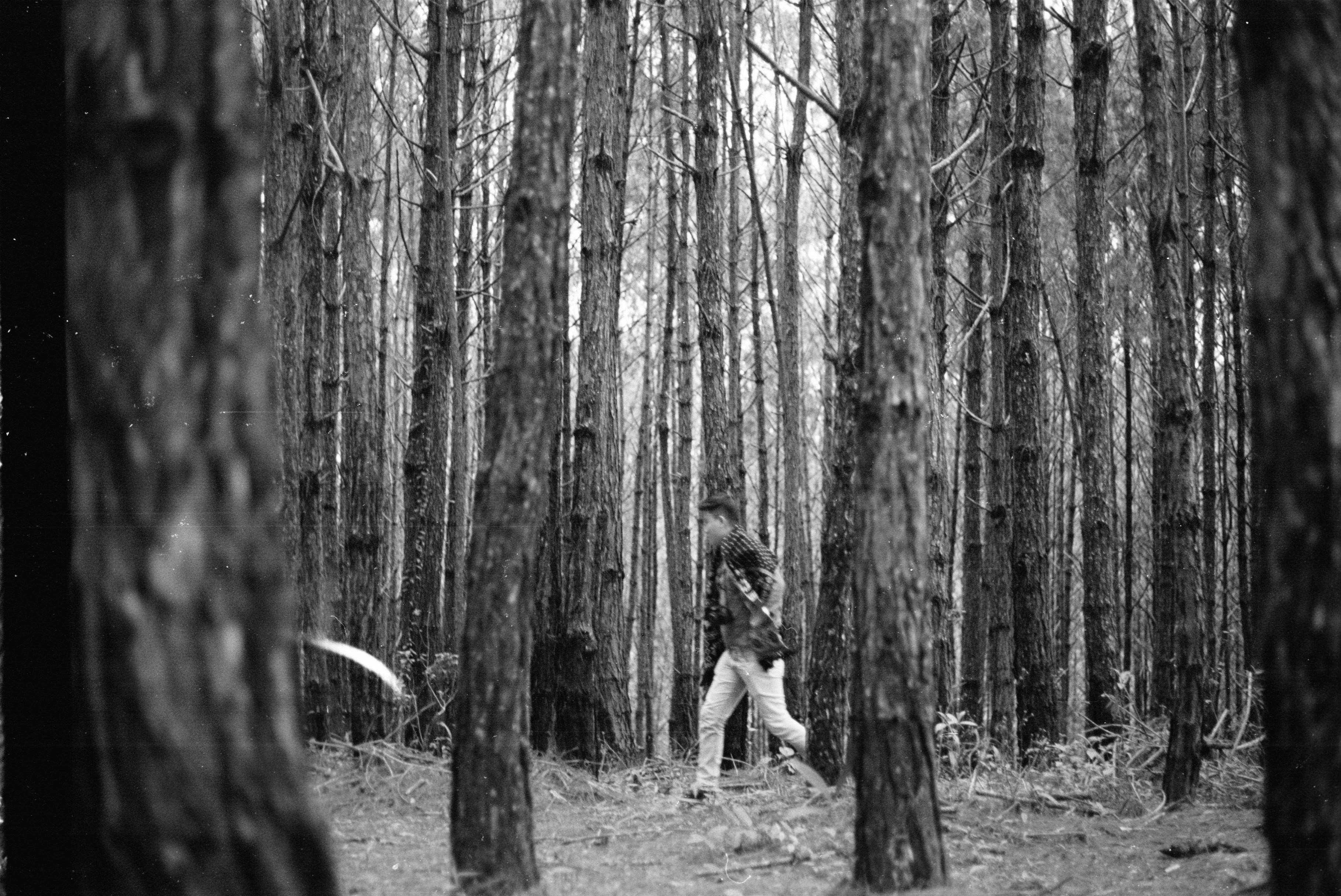 Photo by thanhthangphoto