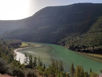 A serene West Virginia river winding through lush green hills under a bright sun