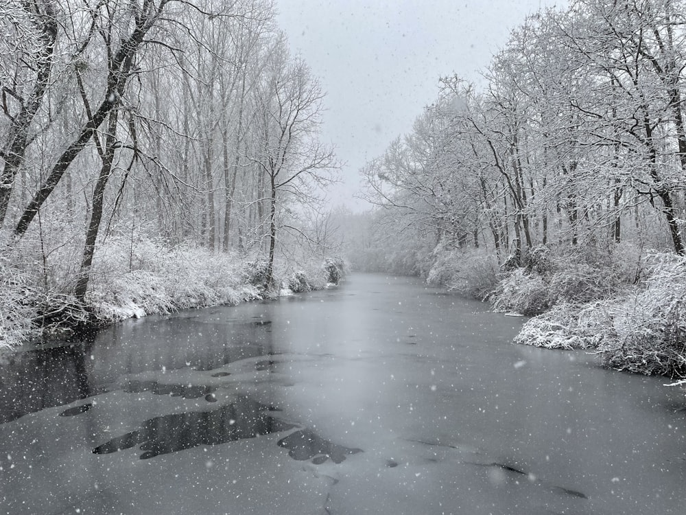 a river surrounded by trees covered in snow