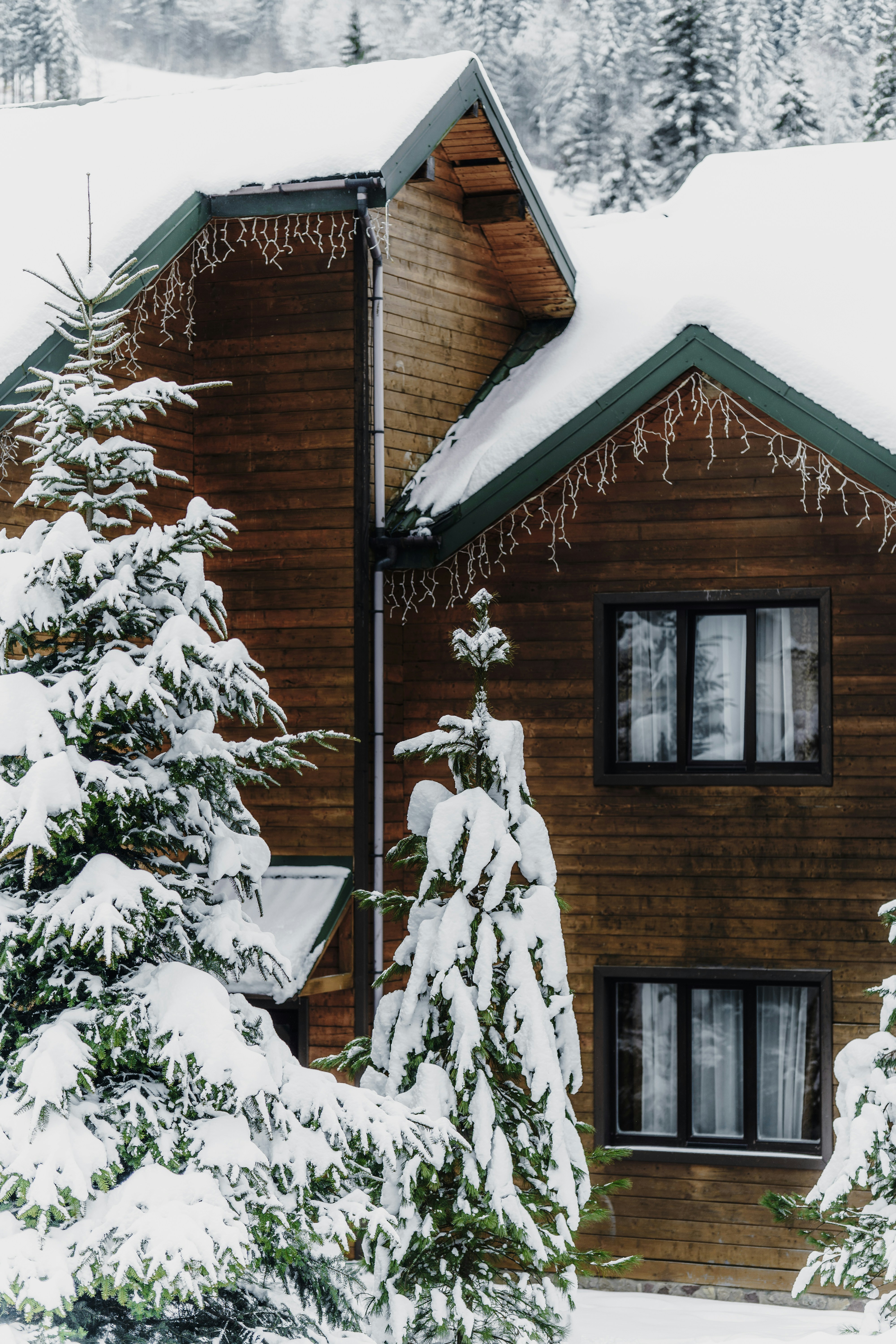 Photo by maksym_tymchyk